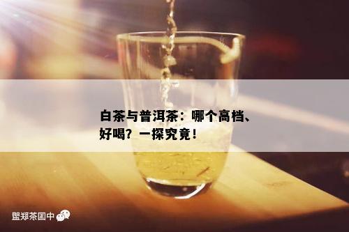 白茶与普洱茶：哪个高档、好喝？一探究竟！