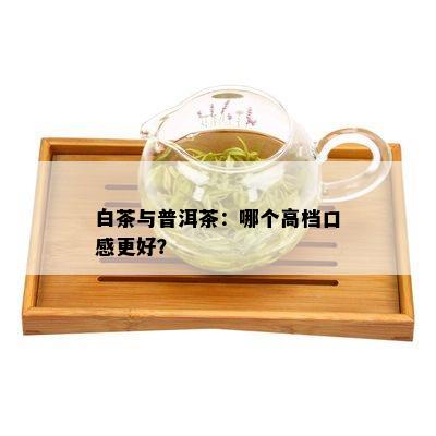 白茶与普洱茶：哪个高档口感更好？