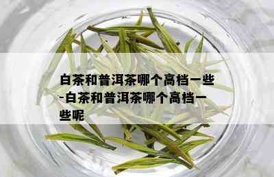 白茶和普洱茶哪个高档一些-白茶和普洱茶哪个高档一些呢