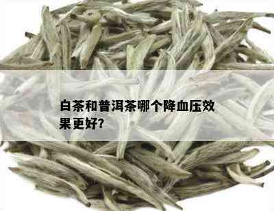 白茶和普洱茶哪个降血压效果更好？