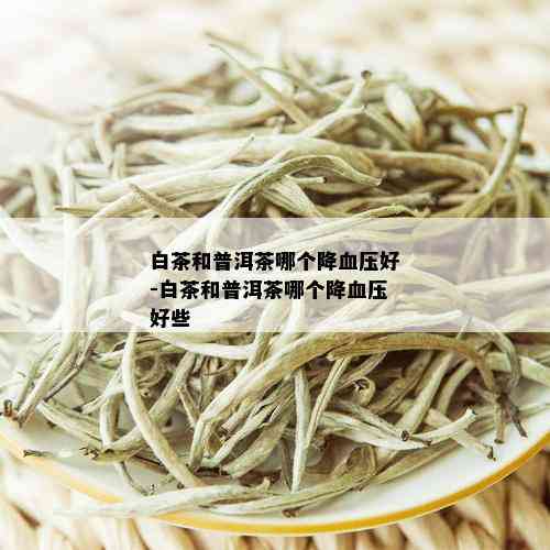 白茶和普洱茶哪个降血压好-白茶和普洱茶哪个降血压好些