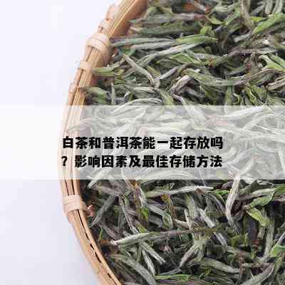 白茶和普洱茶能一起存放吗？影响因素及更佳存储方法