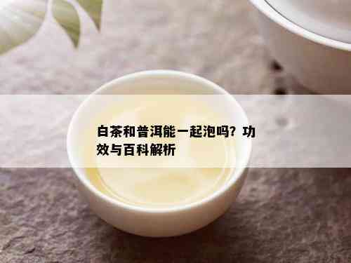 白茶和普洱能一起泡吗？功效与百科解析