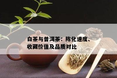 白茶与普洱茶：陈化速度、收藏价值及品质对比