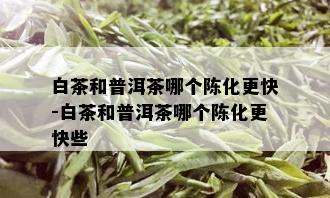 白茶和普洱茶哪个陈化更快-白茶和普洱茶哪个陈化更快些