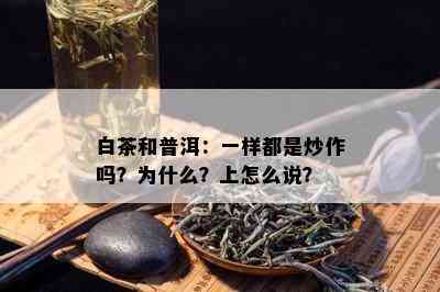 白茶和普洱：一样都是炒作吗？为什么？上怎么说？