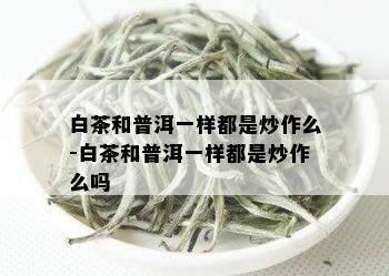 白茶和普洱一样都是炒作么-白茶和普洱一样都是炒作么吗