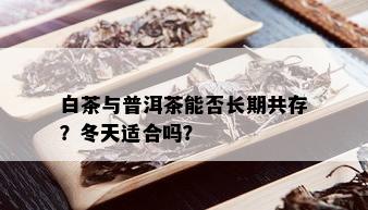 白茶与普洱茶能否长期共存？冬天适合吗？