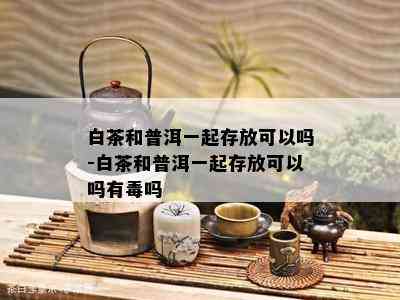 白茶和普洱一起存放可以吗-白茶和普洱一起存放可以吗有吗