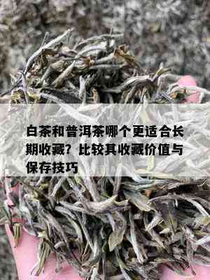 白茶和普洱茶哪个更适合长期收藏？比较其收藏价值与保存技巧