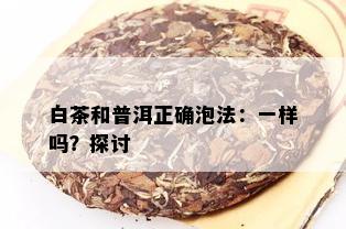 白茶和普洱正确泡法：一样吗？探讨