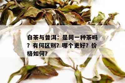 白茶与普洱：是同一种茶吗？有何区别？哪个更好？价格如何？