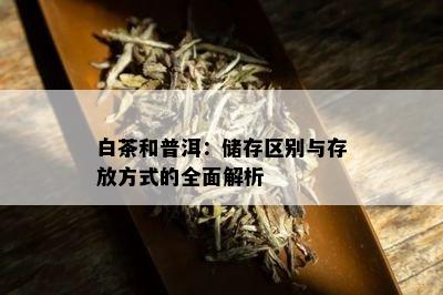 白茶和普洱：储存区别与存放方式的全面解析