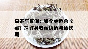 白茶与普洱：哪个更适合收藏？探讨其收藏价值与适饮期