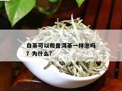 白茶可以和普洱茶一样泡吗？为什么？