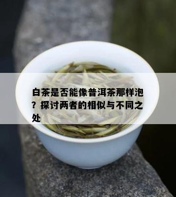 白茶是否能像普洱茶那样泡？探讨两者的相似与不同之处