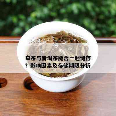 白茶与普洱茶能否一起储存？影响因素及存储期限分析