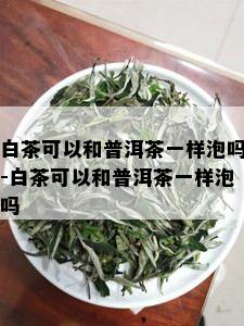 白茶可以和普洱茶一样泡吗-白茶可以和普洱茶一样泡吗