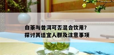 白茶与普洱可否混合饮用？探讨其适宜人群及注意事项