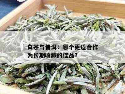 白茶与普洱：哪个更适合作为长期收藏的佳品？