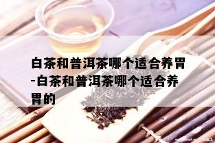 白茶和普洱茶哪个适合养胃-白茶和普洱茶哪个适合养胃的