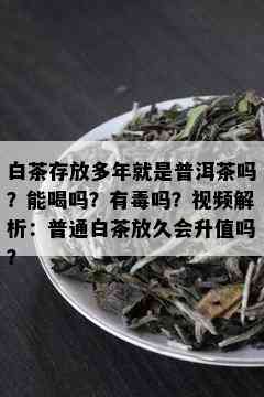 白茶存放多年就是普洱茶吗？能喝吗？有吗？视频解析：普通白茶放久会升值吗？