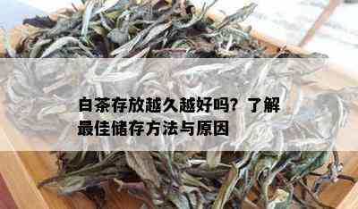 白茶存放越久越好吗？了解更佳储存方法与原因