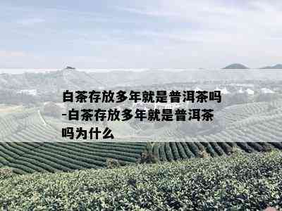 白茶存放多年就是普洱茶吗-白茶存放多年就是普洱茶吗为什么