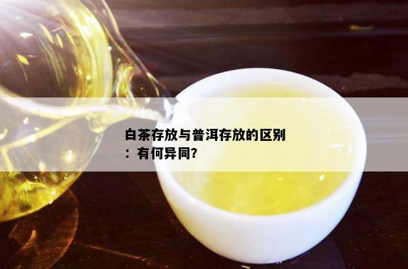 白茶存放与普洱存放的区别：有何异同？