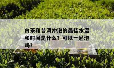 白茶和普洱冲泡的更佳水温和时间是什么？可以一起泡吗？