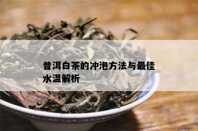 普洱白茶的冲泡方法与更佳水温解析