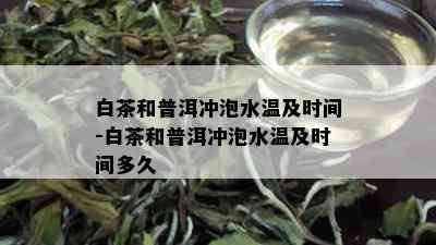 白茶和普洱冲泡水温及时间-白茶和普洱冲泡水温及时间多久