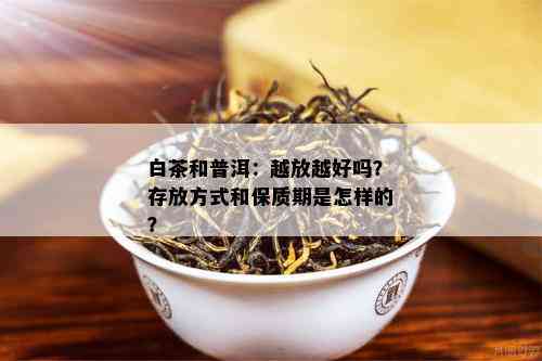 白茶和普洱：越放越好吗？存放方式和保质期是怎样的？