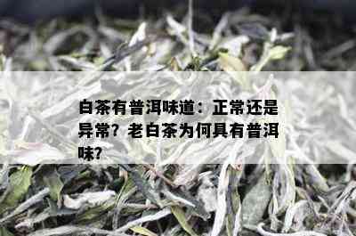 白茶有普洱味道：正常还是异常？老白茶为何具有普洱味？