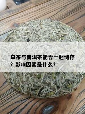 白茶与普洱茶能否一起储存？影响因素是什么？