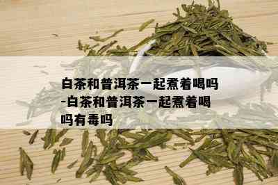 白茶和普洱茶一起煮着喝吗-白茶和普洱茶一起煮着喝吗有吗