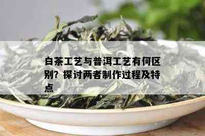 白茶工艺与普洱工艺有何区别？探讨两者制作过程及特点