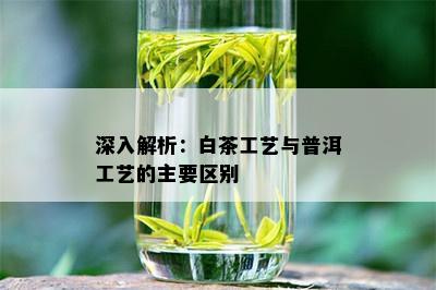 深入解析：白茶工艺与普洱工艺的主要区别