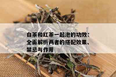 白茶和红茶一起泡的功效：全面解析两者的搭配效果、禁忌与作用