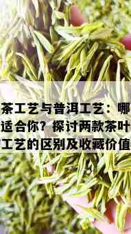 白茶工艺与普洱工艺：哪个更适合你？探讨两款茶叶制作工艺的区别及收藏价值