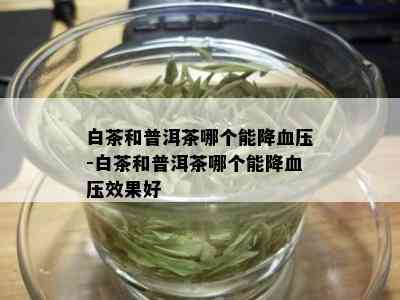 白茶和普洱茶哪个能降血压-白茶和普洱茶哪个能降血压效果好