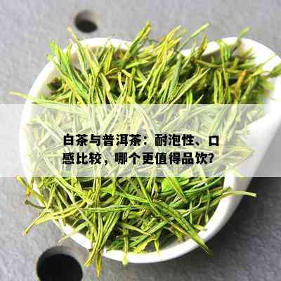 白茶与普洱茶：耐泡性、口感比较，哪个更值得品饮？