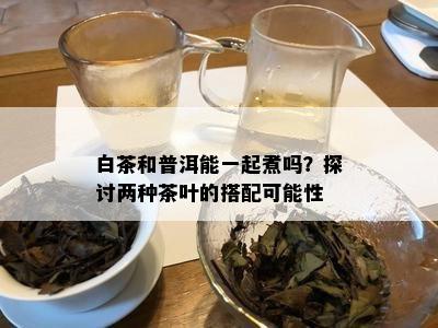 白茶和普洱能一起煮吗？探讨两种茶叶的搭配可能性