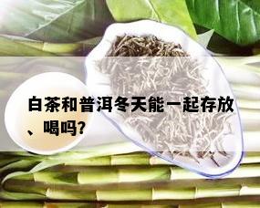 白茶和普洱冬天能一起存放、喝吗？