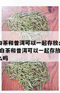 白茶和普洱可以一起存放么-白茶和普洱可以一起存放么吗