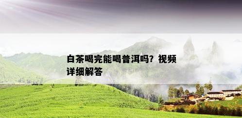 白茶喝完能喝普洱吗？视频详细解答