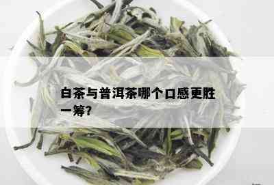 白茶与普洱茶哪个口感更胜一筹？