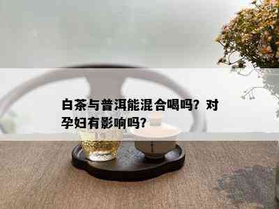 白茶与普洱能混合喝吗？对孕妇有影响吗？