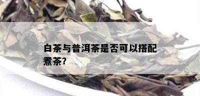 白茶与普洱茶是否可以搭配煮茶？