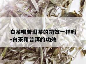 白茶喝普洱茶的功效一样吗-白茶和普洱的功效